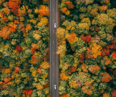 가을 국내 여행지 추천