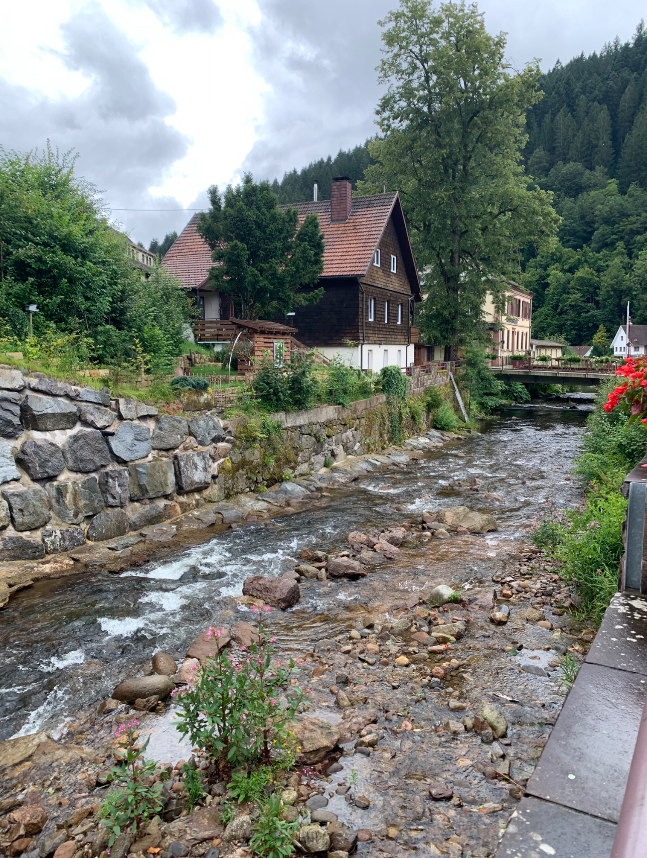 블랙 포레스트 케익을 디저트로 먹은 작은 호텔 앞 크릭 사진