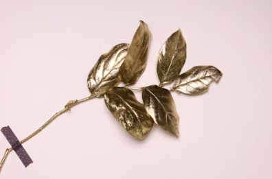 금은방 창업비용에 대하여 알아보기