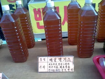 매실액기스 효능 해독 작용 숙취 건강 효과 정리_26