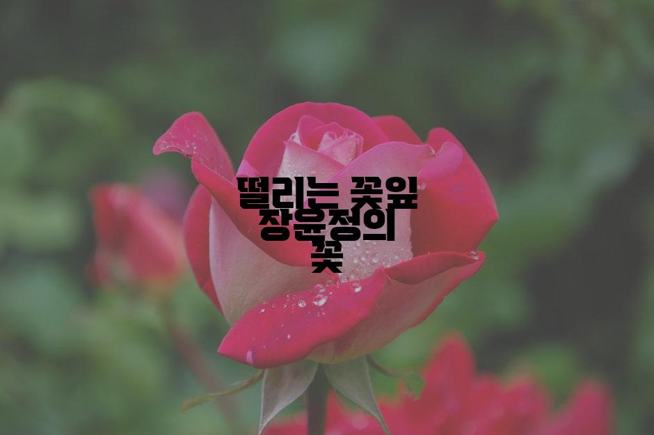 떨리는 꽃잎 장윤정의 꽃