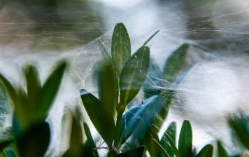 등기부등본 인터넷발급 2025 12