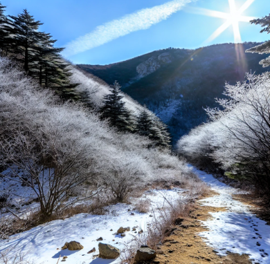 국내 겨울 여행지 곰배령 예약 방법