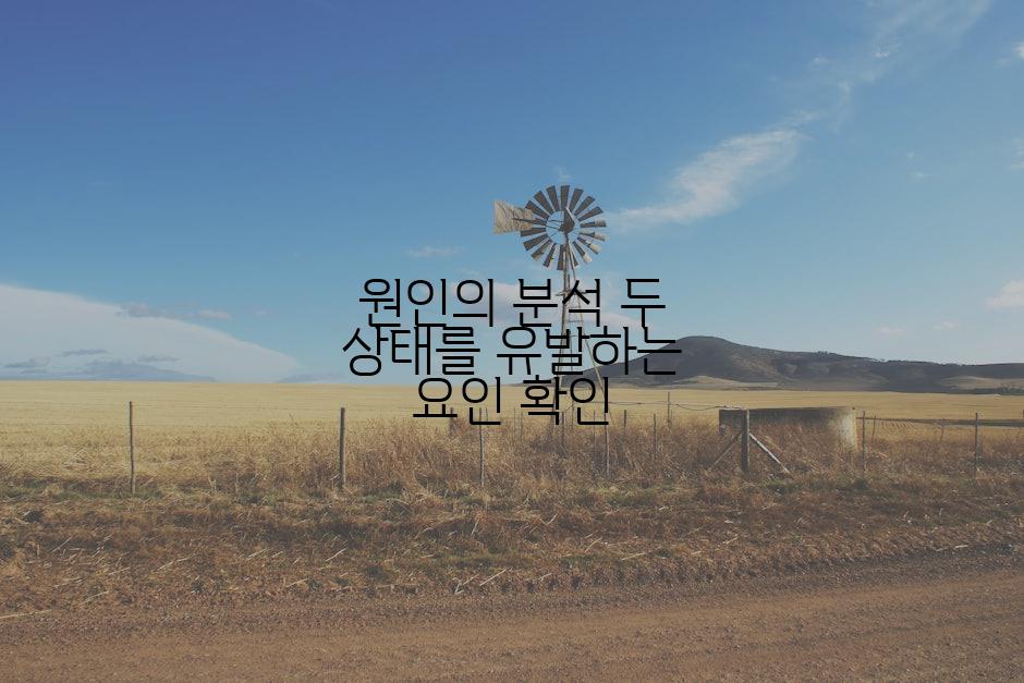 원인의 분석 두 상태를 유발하는 요인 확인