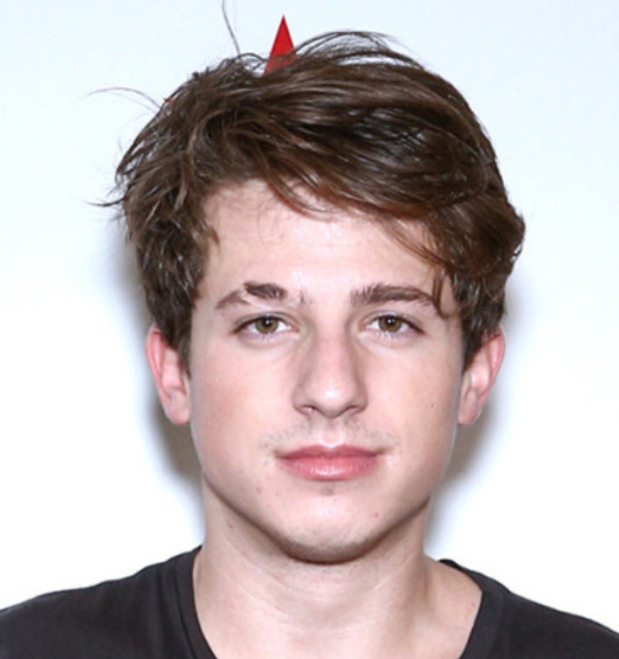 찰리푸스 공연소개 공연일정 및 장소 티켓예매일정 및 방법