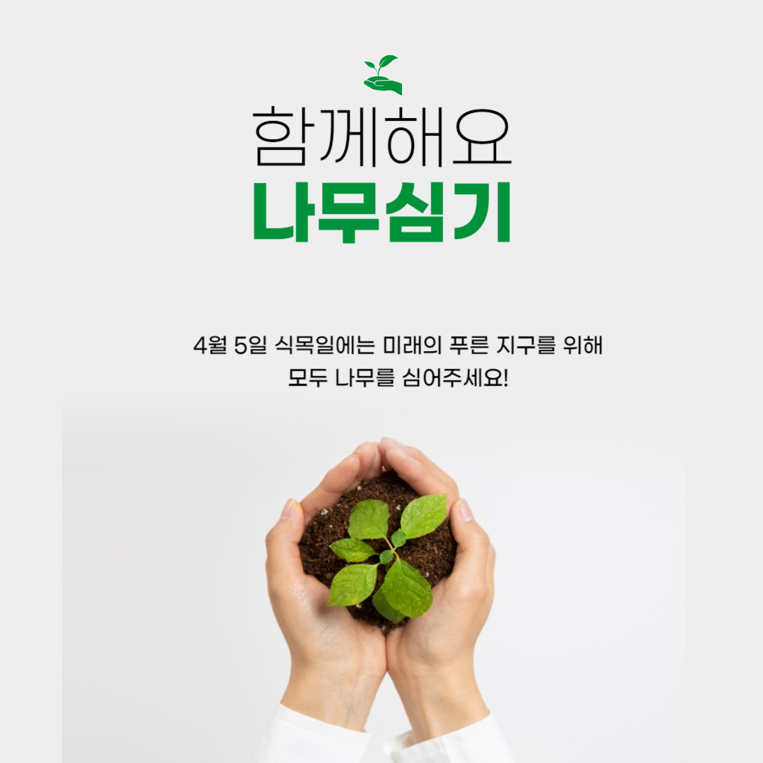나무 심기