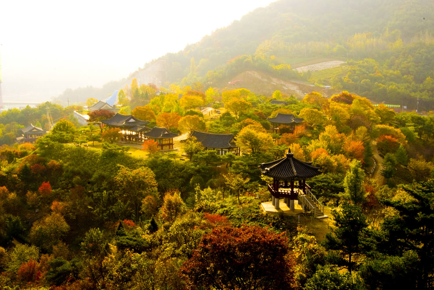 충북 제천 단풍 명소 청풍문화재단지