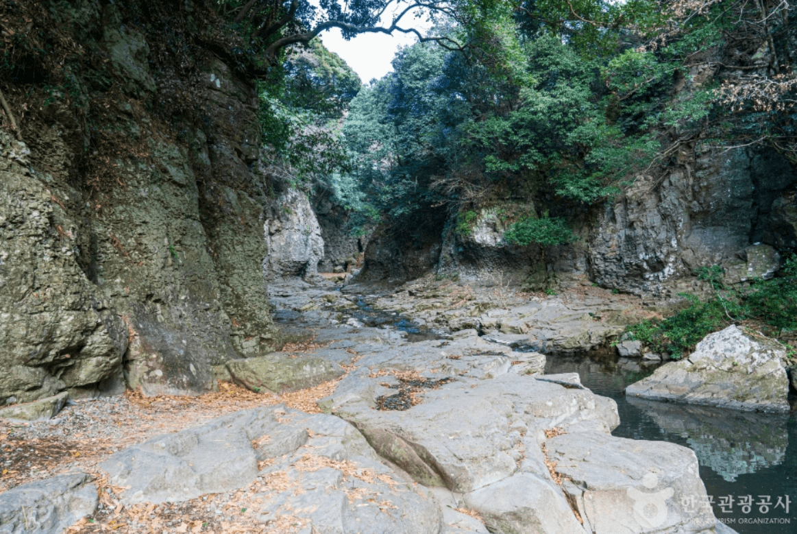 서귀포시 안덕계곡