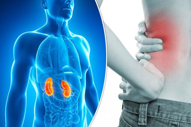 알부민 효능 영양제 효과 있나요 신장 기능