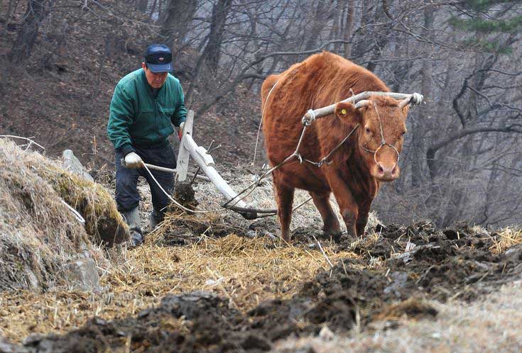 언땅을 가는 소