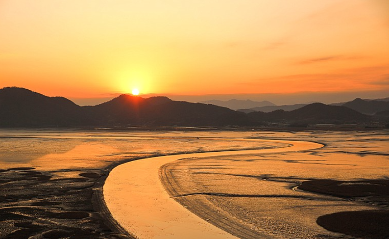 순천만습지에 길이 갈라지는 배경사진