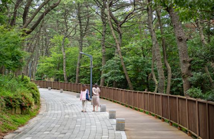 송도 용궁구름다리