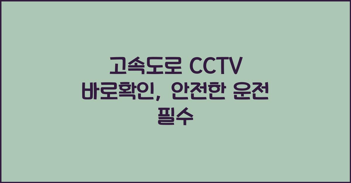 고속도로 cctv 바로확인