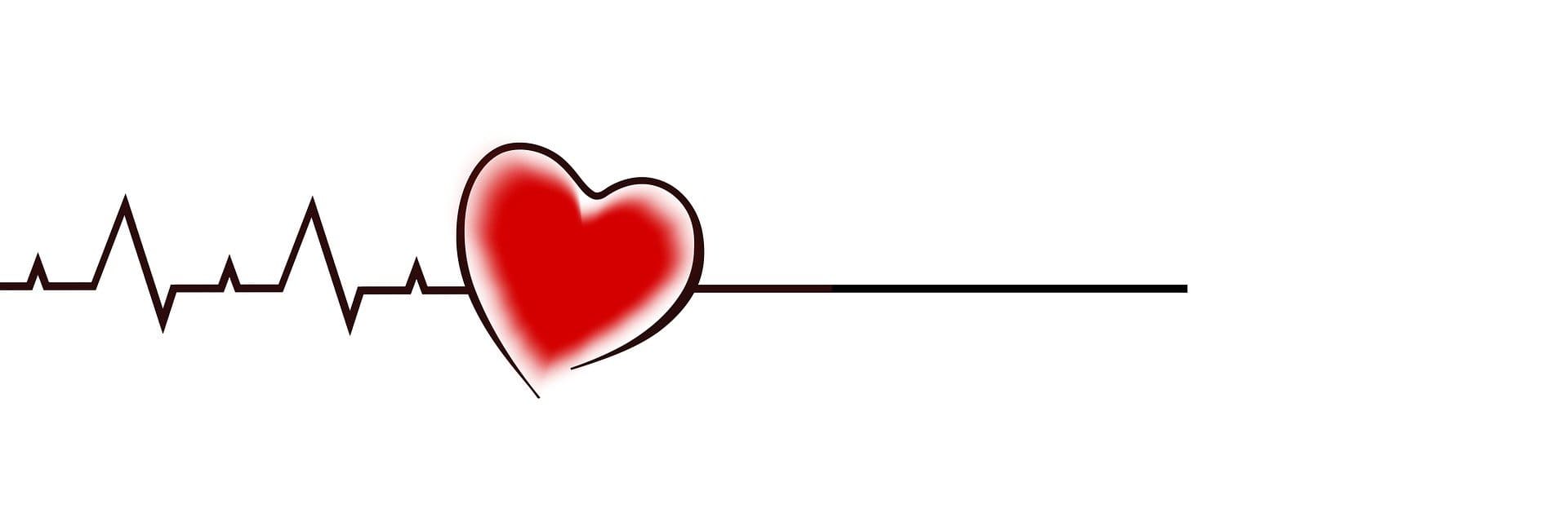 성별, 연령에 따른 검사항목