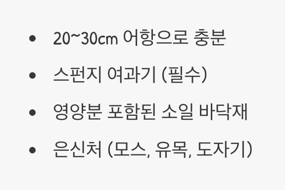 새우들의 아늑한 집 꾸미기