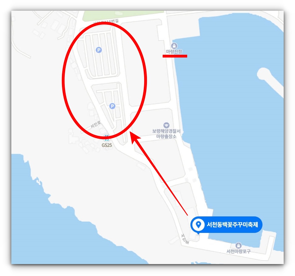 동백꽃 주꾸미 축제 주차장 안내