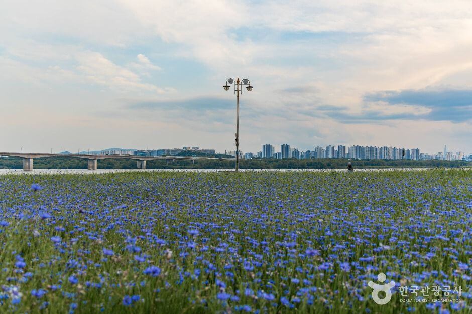 남양주 가볼만한곳 베스트 10