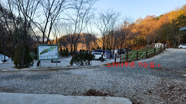 느티나무존가는길