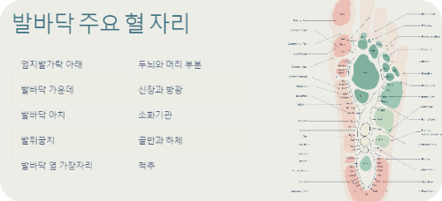 발바닥 주요 혈 자리