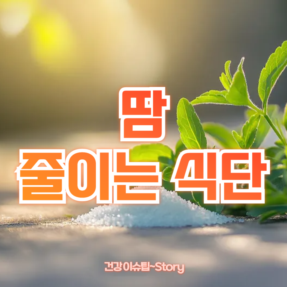 땀 줄이는 식단