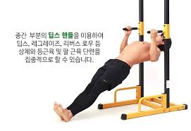 리버스 딥스