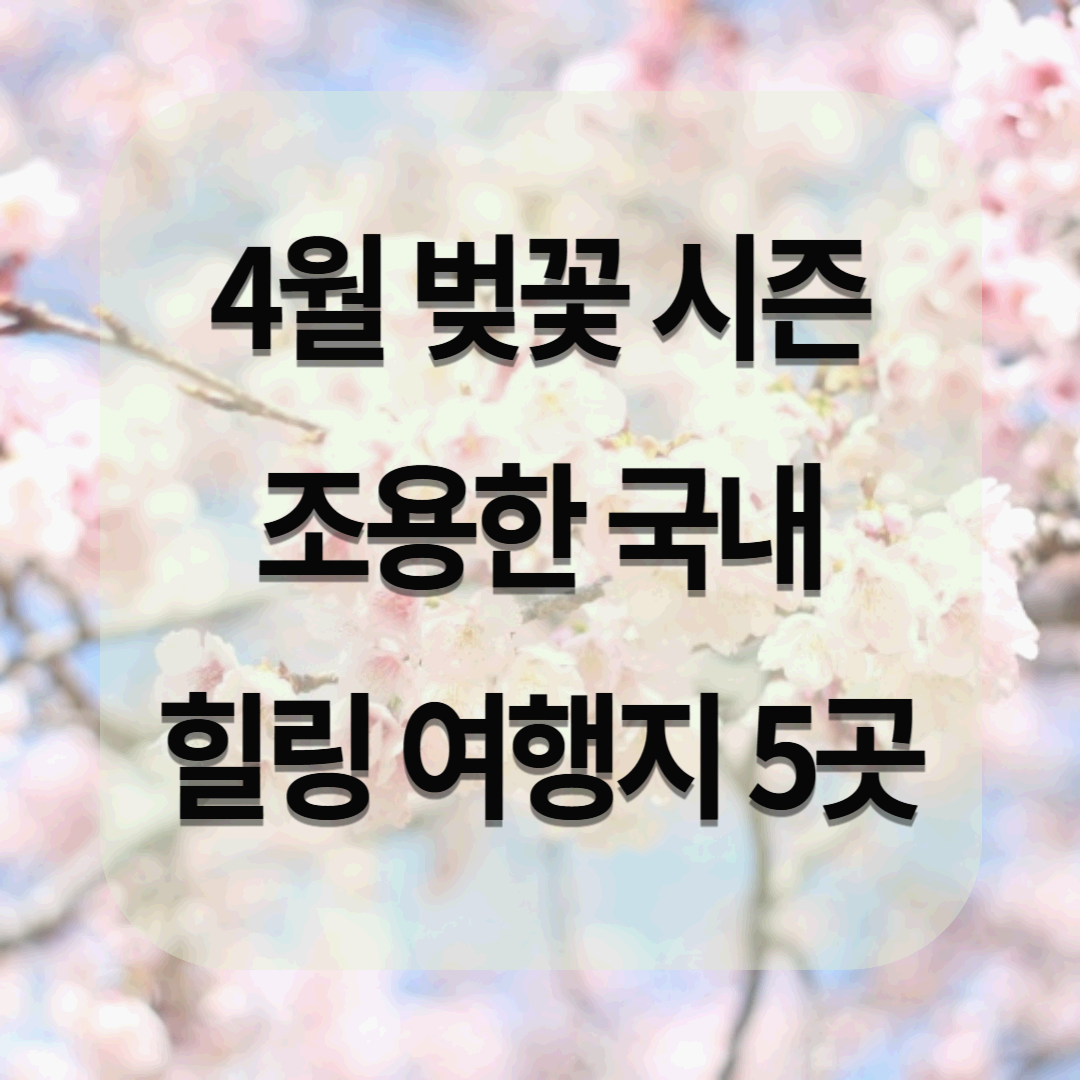 4월 벚꽃 시즌, 조용한 국내 힐링 여행지 5곳! 사람 없는 숨은 명소 추천