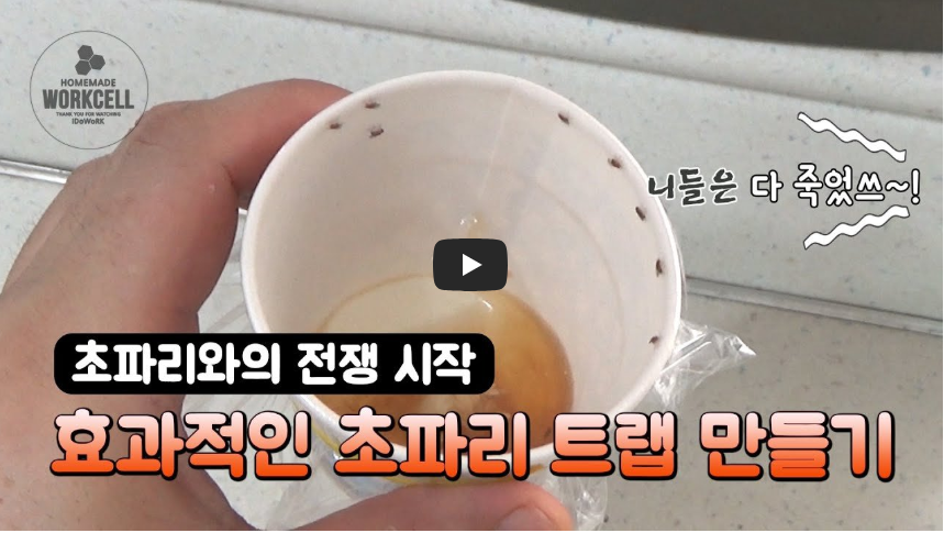 여름 초파리 퇴치법 총정리 &ndash; 집안 초파리 없애는 가장 효과적인 방법
