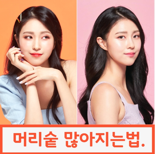 머리숱 많아지는법 알아봐요