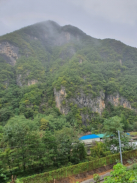 강원도 삼척 여행 사진