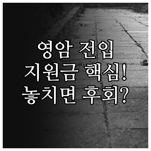 새롭게 영암군민 되기: 2025 전입..