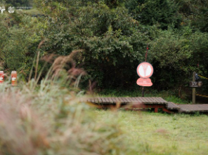 관람 정보 및 유의사항