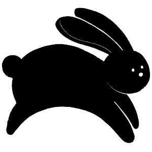 2023년 12월1일 띠별 오늘의운세