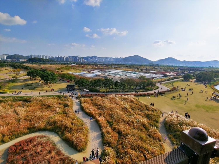 10월 가을 걷기 좋은 여행지 추천 BEST 07 청산수목원 순천만 국가정원 제주 비밀의 숲 포함