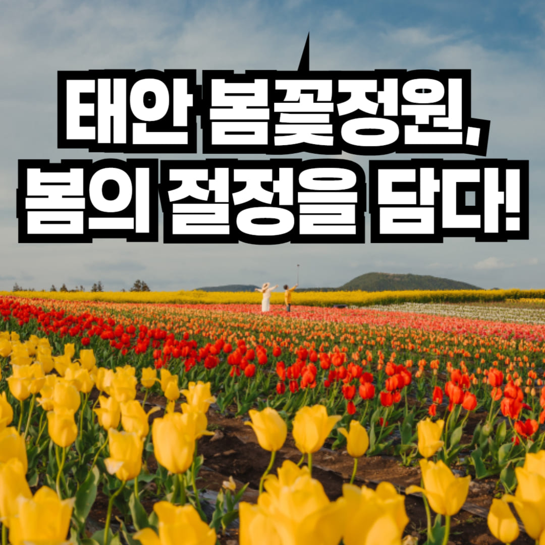 태안 봄꽃정원 2025, 봄꽃과 함께하는 힐링 여행