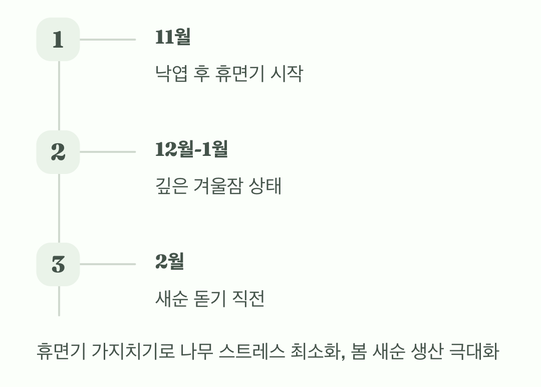 가지치기, 딱 좋은 시기는?