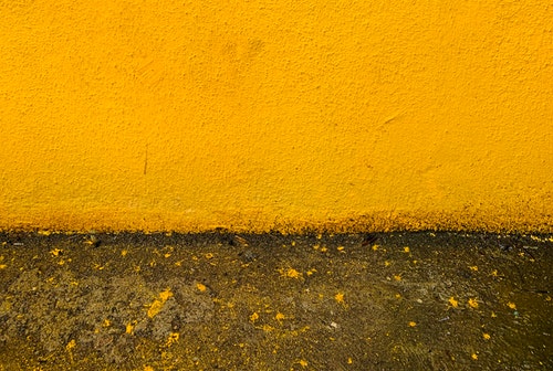 허니 머스타드 소스 활용하면 좋은 이유 5가지