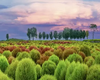 임진강 댑싸리공원_23