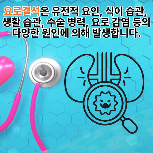 요로결석의-원인