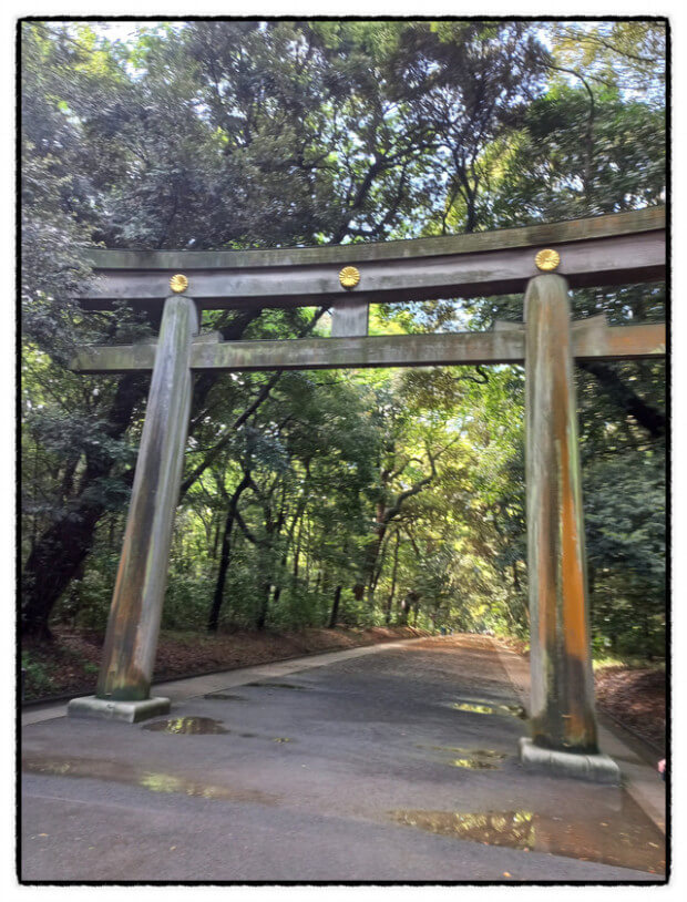 일본 골프여행 17