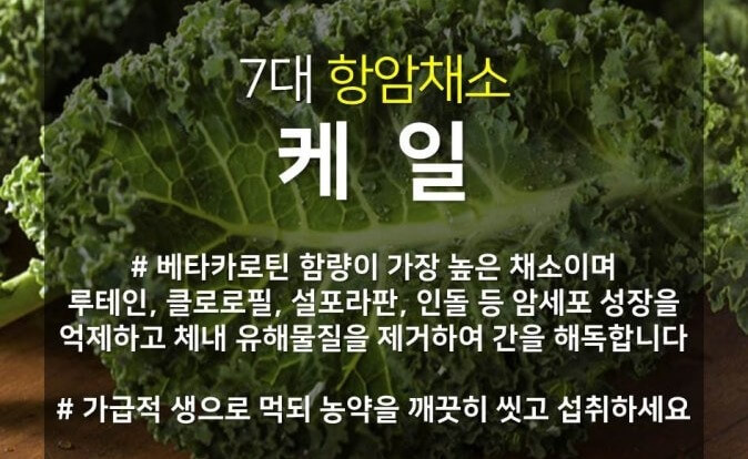 케일의 항암 효과