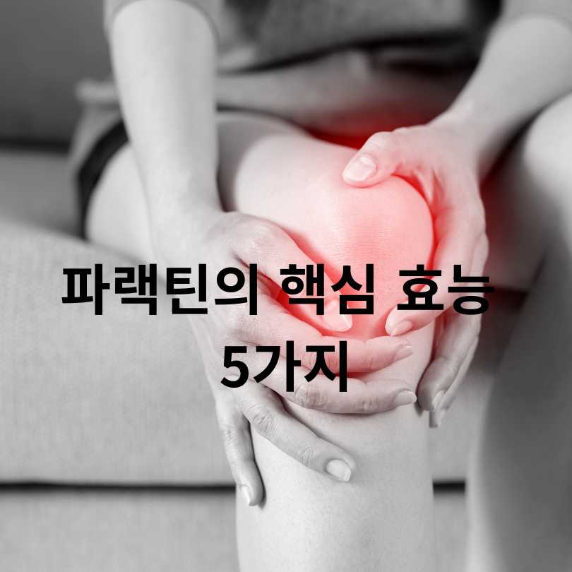 파랙틴 효능과 부작용 총정리