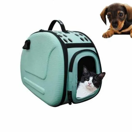 &amp;quot;고양이