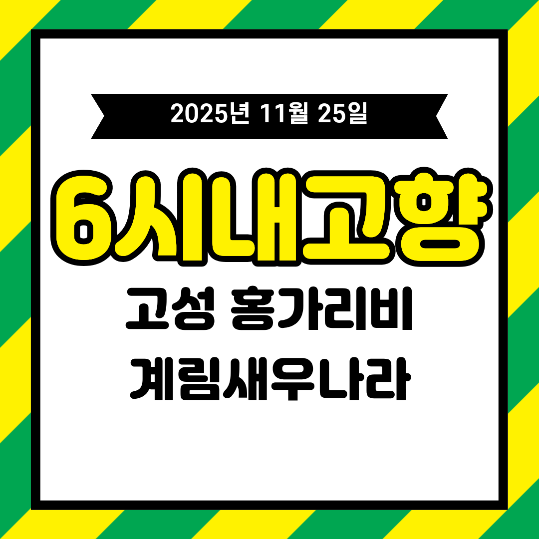 6시 내고향 11월 25일 &ndash; 경남 고성 홍가리비(계림새우나라) 정확한 문의처