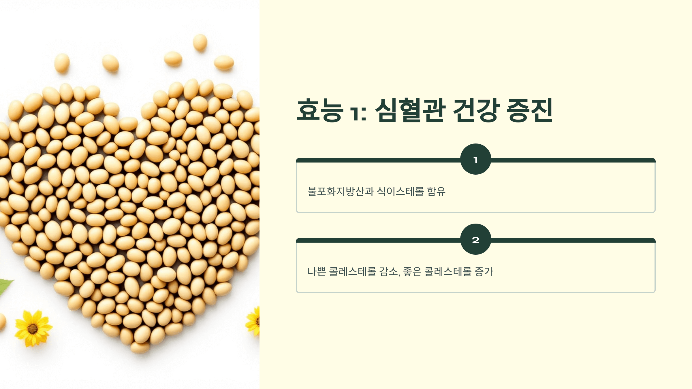 해바라기씨 사진입니다.