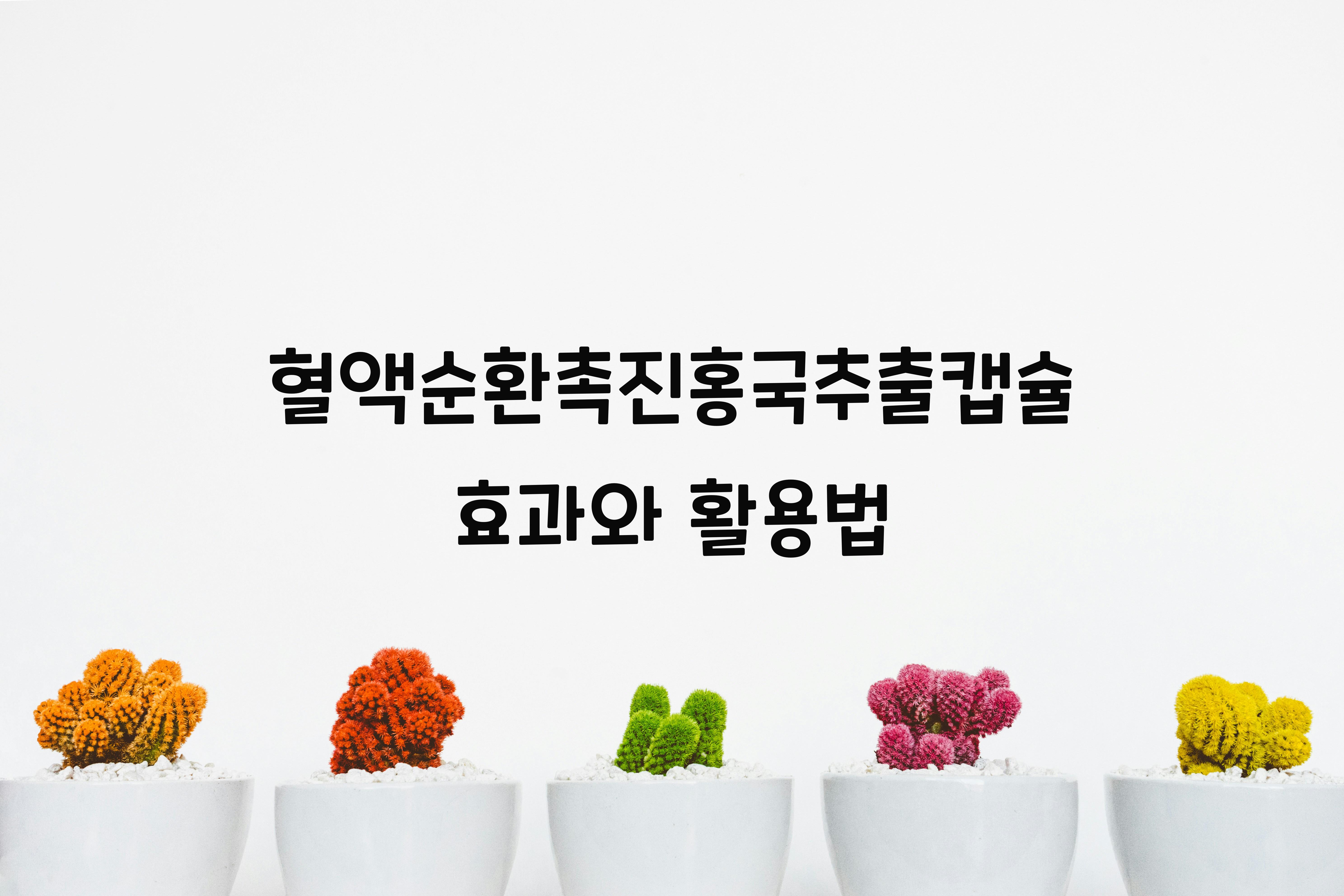 혈액순환촉진홍국추출캡슐