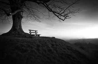 청와대 관람신청 한번에 해결 25