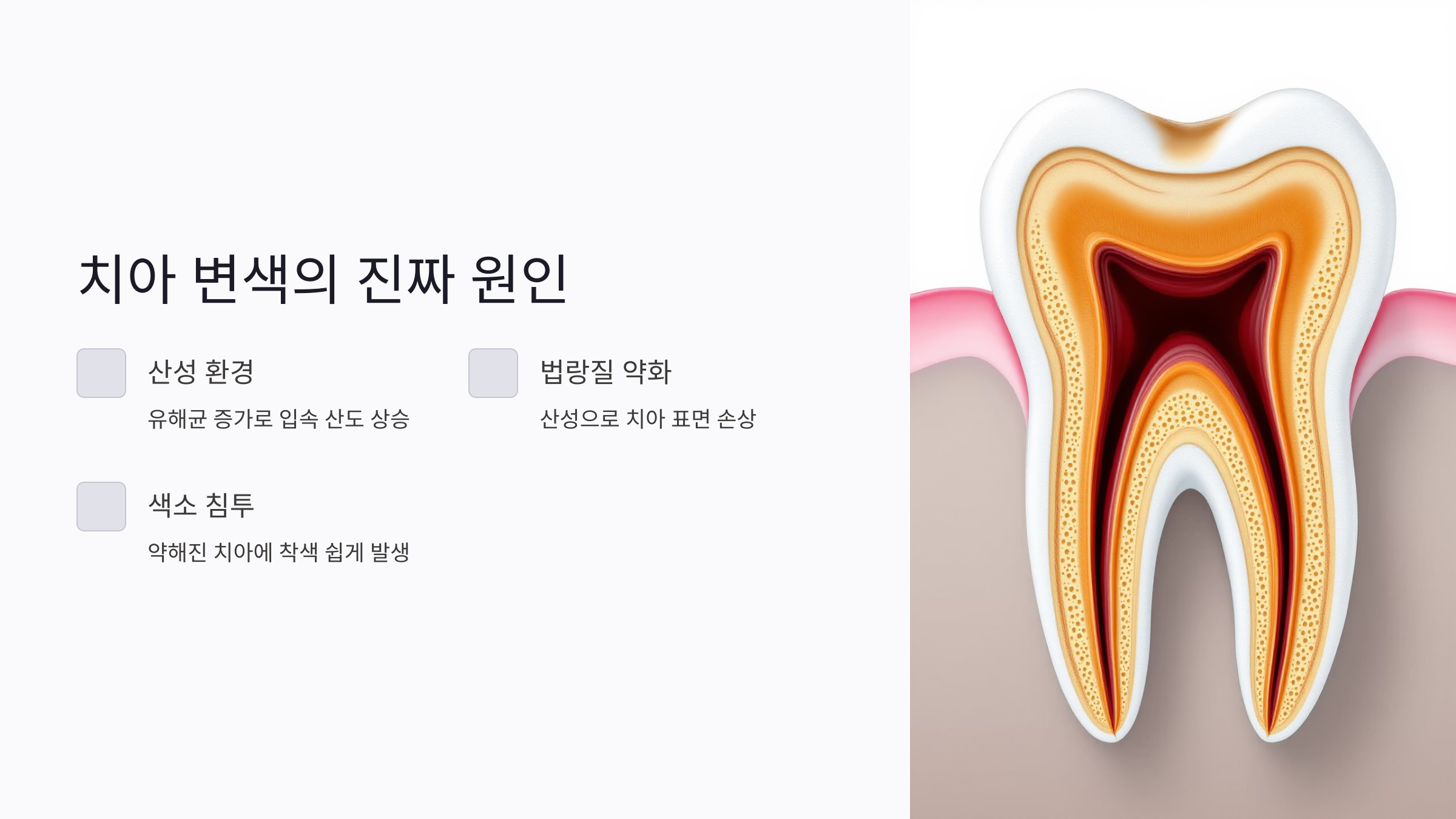 구강 유산균이 치아 미백제 부작용을 줄이는 방법