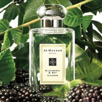 조말론 블랙베리 앤 베이-사진