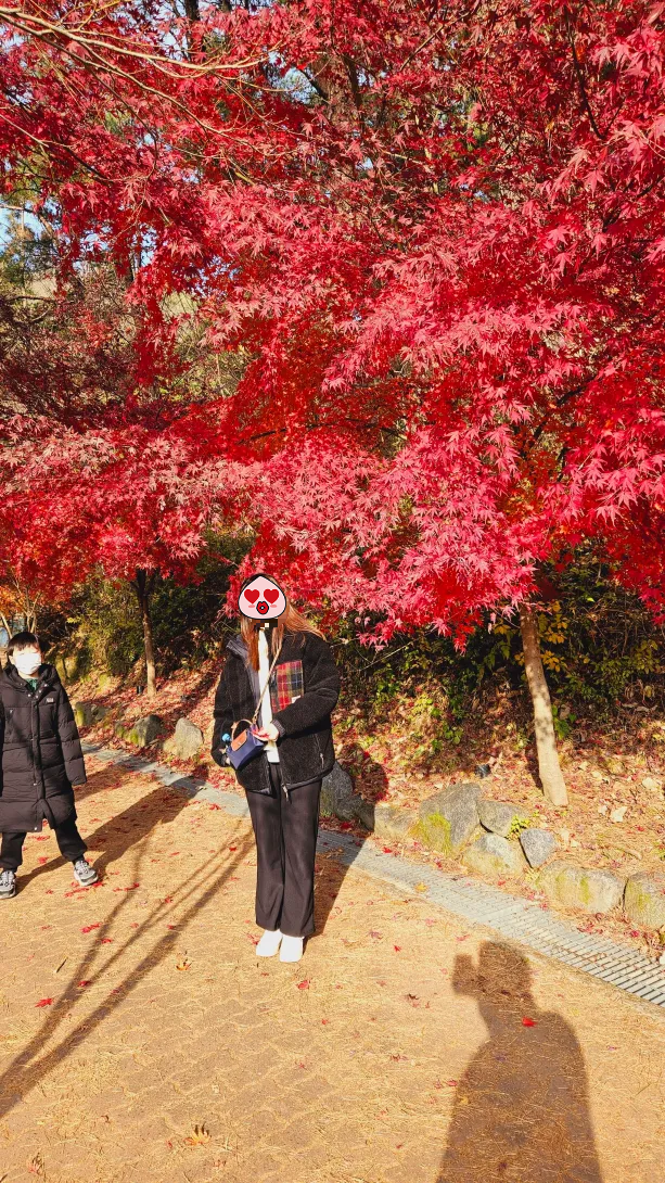 함안 입곡 군립공원
