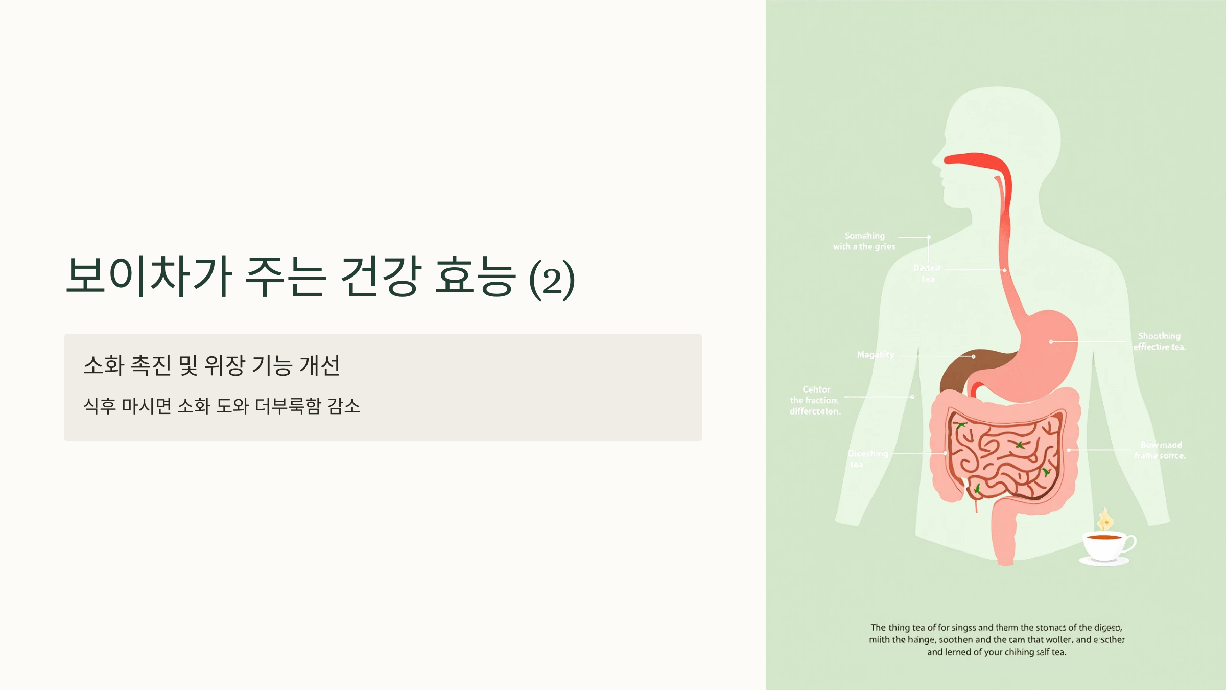 보이차 사진입니다.